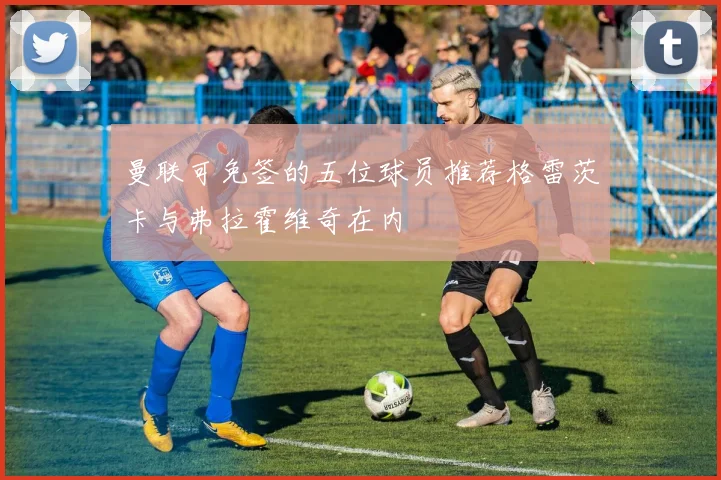 曼联可免签的五位球员推荐格雷茨卡与弗拉霍维奇在内