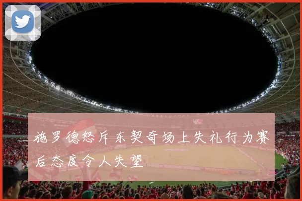 施罗德怒斥东契奇场上失礼行为赛后态度令人失望